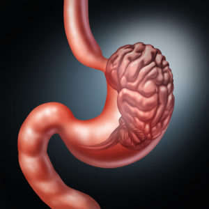 Brain inside stomach to represent the gut instinct