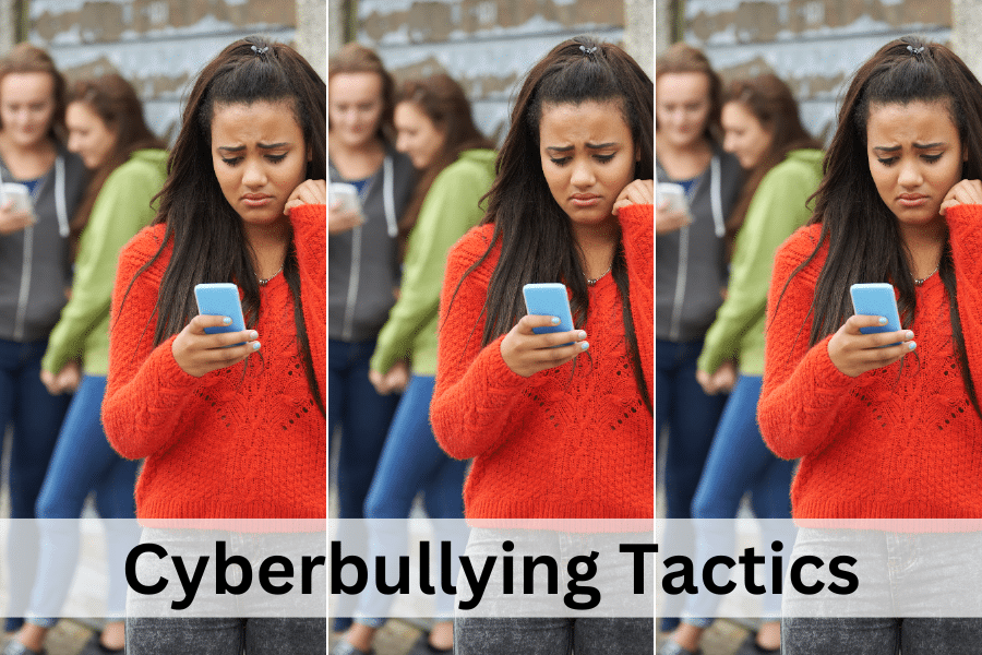 Cyberbullying Tactics: 9 Common Tricks of Cyber-Bullies and Trolls ...