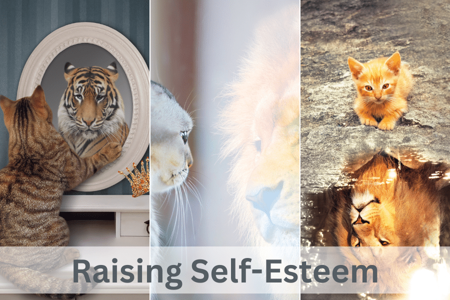 Raising Self-Esteem: 5 Easy Mind Hacks that Help - Cherie White