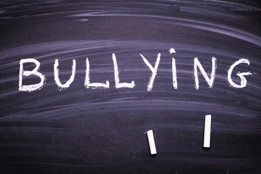 what can you learn from bullying reddit